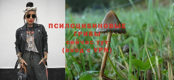 каннабис Арсеньев