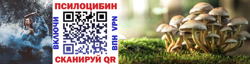Галлюциногенные грибы Psilocybine cubensis  купить  сайты  Чернушка 