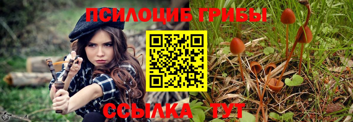 Псилоцибиновые грибы MAGIC MUSHROOMS  Галлюциногенные грибы Magic Shrooms  Вход с VPN  Чернушка 